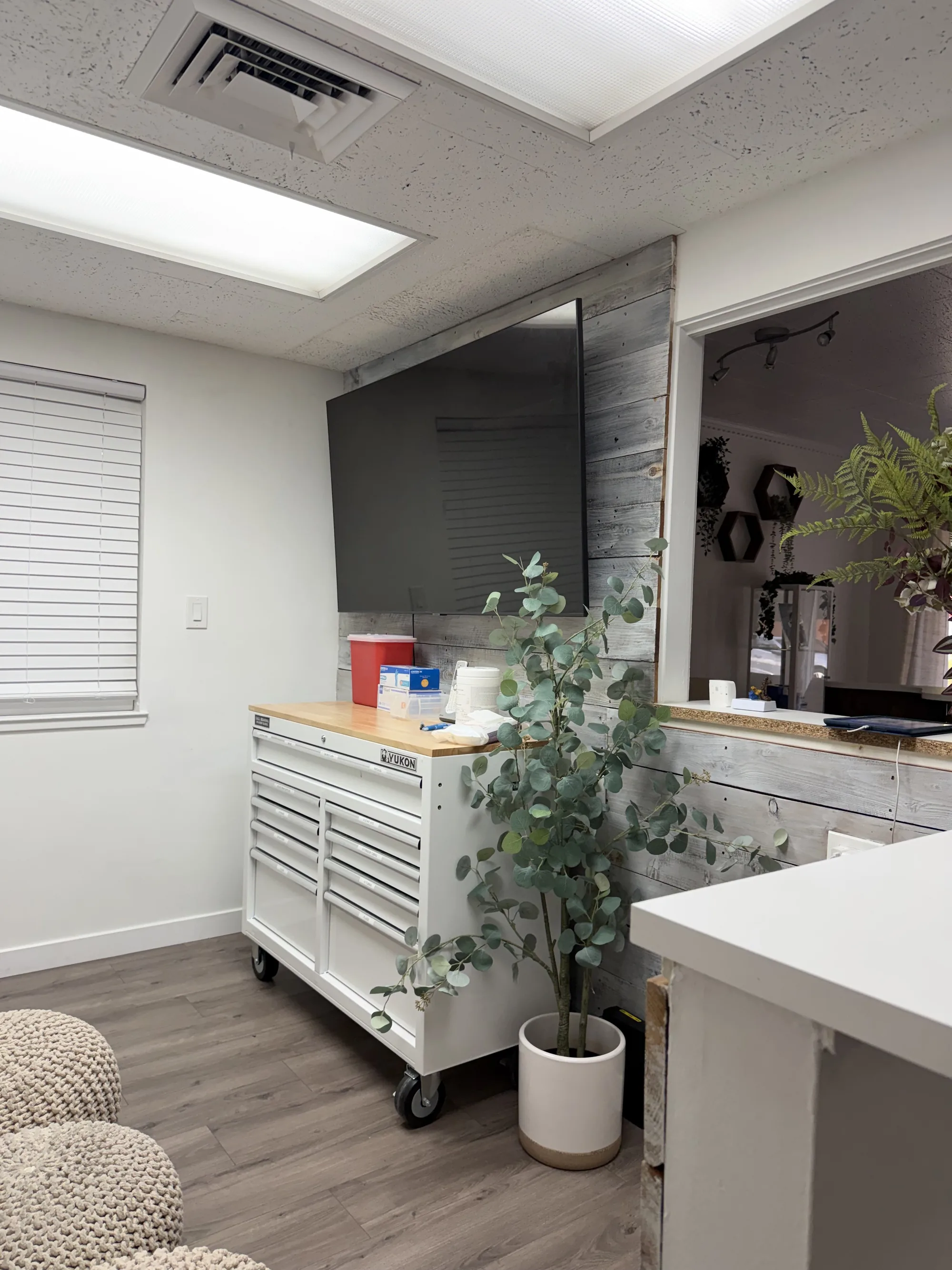 A clinic room with a wall-mounted screen, a white supply cart and a potted eucalyptus plant